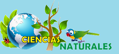 CIENCIAS NATURALES 5TO PRIMARIA